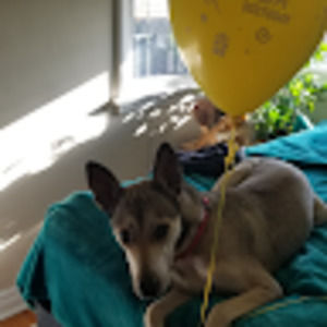 Meet your Posher, Rowena